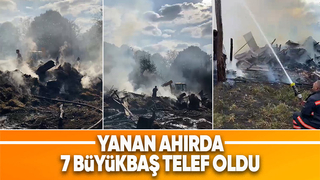 Hendek'te yangın faciası büyükbaş hayvanlar telef oldu