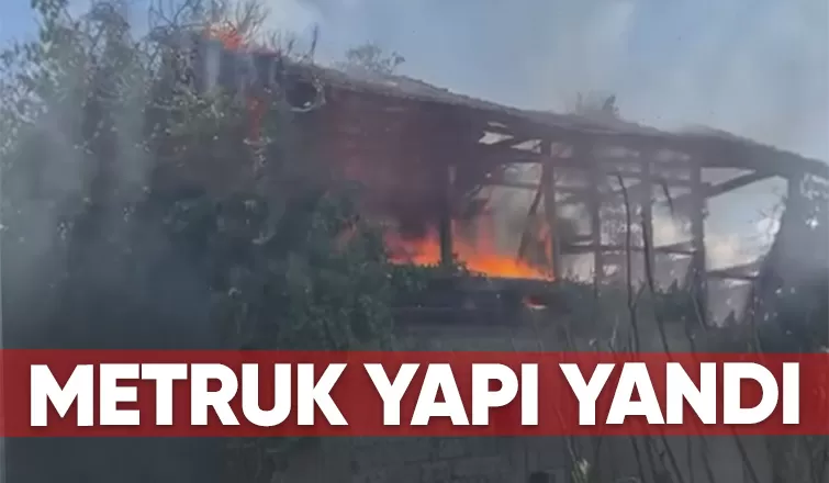 Hendek'te yangın