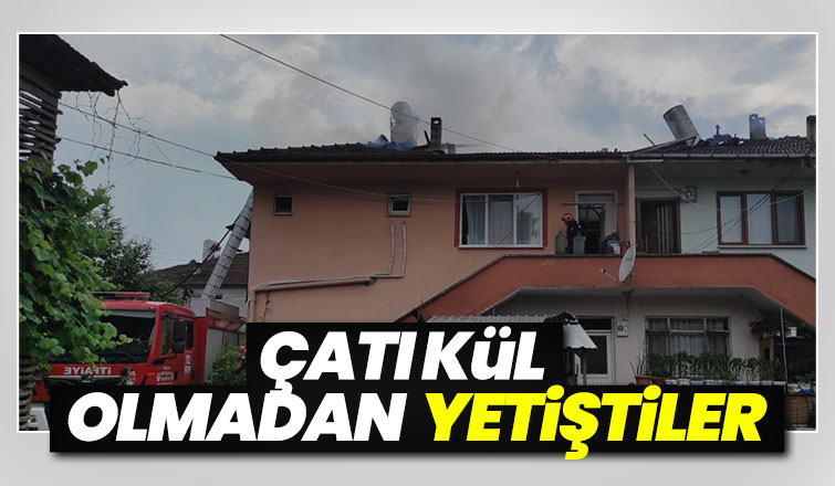 Hendek'te yangın
