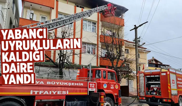 Hendek'te yangın