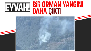 Hendek'te yeni orman yangını çıktı