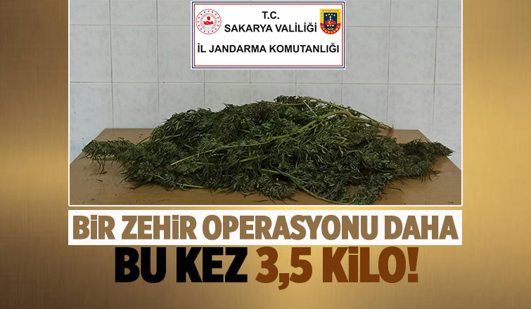 Hendek'te zehir baskını