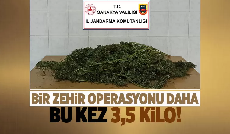 Hendek'te zehir baskını