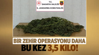 Hendek'te zehir baskını