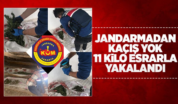 Hendek'te zehir baskını