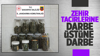 Hendek'te zehir operasyonu