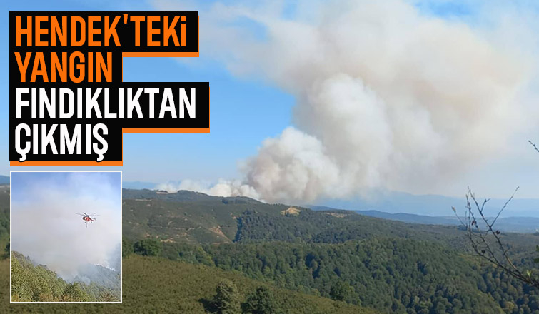 Hendek'teki orman yangını fındıklıktan başlamış
