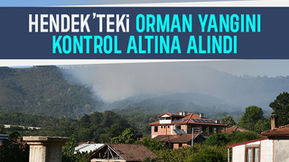 Hendek'teki orman yangını kontrol altında