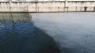 Hendek'teki Uludere Çayı buz tuttu