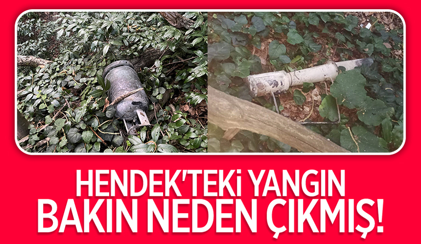 Hendek'teki yangının çıkış nedeni belli oldu