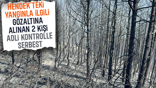 Hendek yangınında 2 kişi adli kontrolle serbest