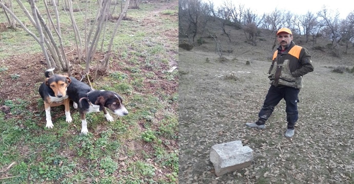 Hendekli avcının kayıp köpekleri bulundu