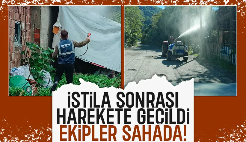 Her yeri istila ettiler; Mücadele başladı