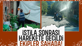 Her yeri istila ettiler; Mücadele başladı