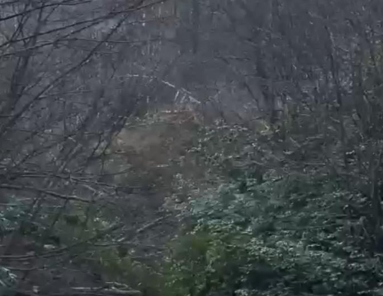 Heyelan kamerada: Ormancılar son anda kurtuldu