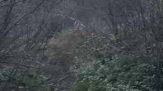 Heyelan kamerada: Ormancılar son anda kurtuldu