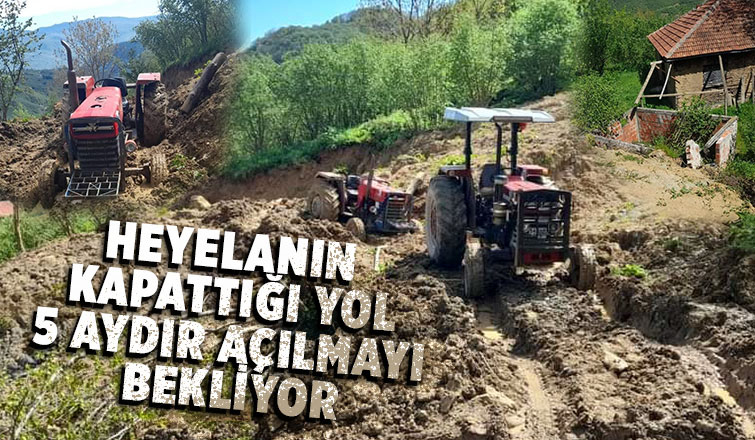 Heyelanın yollarını kapadığı mahalleli 5 aydır mağdur
