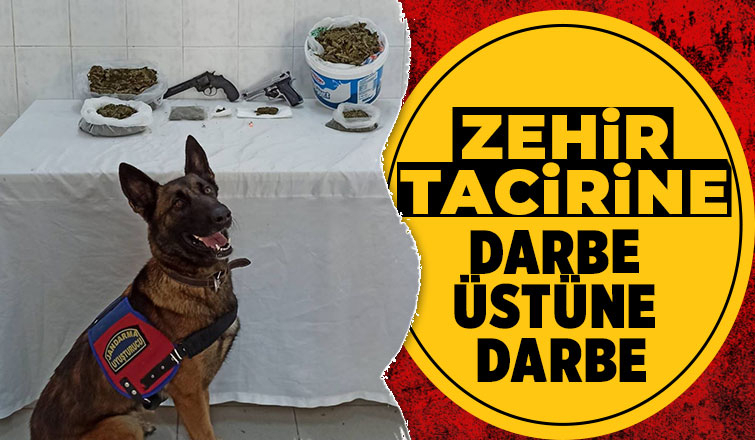 Hendek'te zehir tacirlerine operasyon
