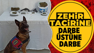 Hendek'te zehir tacirlerine operasyon