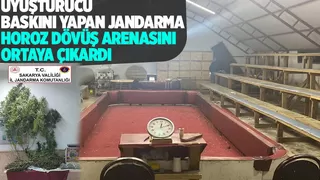 Horoz dövüş arenasını uyuşturucu baskını ortaya çıkardı