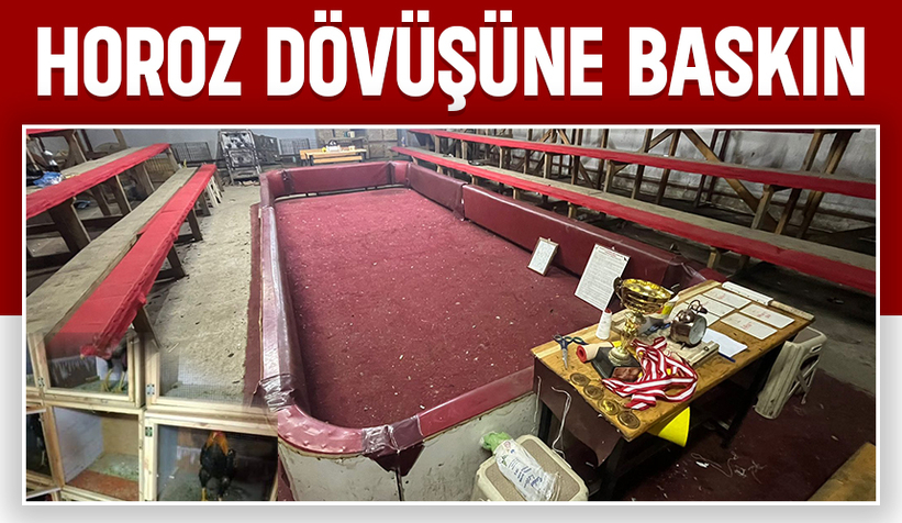 Horoz dövüştürenler suçüstü yakalandı