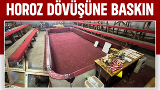 Horoz dövüştürenler suçüstü yakalandı