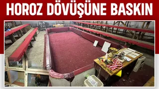 Horoz dövüştürenler suçüstü yakalandı