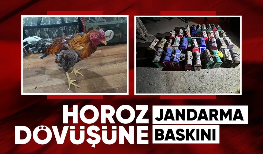 Horoz dövüşüne baskın; 16 kişi yakalandı