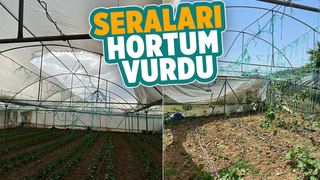 Hortum seraları yıktı