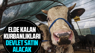 İbrahim Yumaklı açıkladı! Et ve Süt Kurumu satılmayan kurbanlıkları alacak