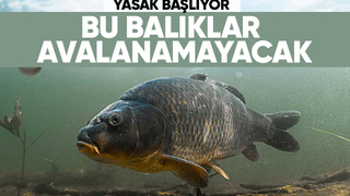 İç sularda av yasağı başlıyor