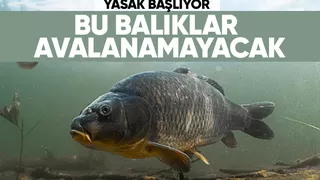 İç sularda av yasağı başlıyor