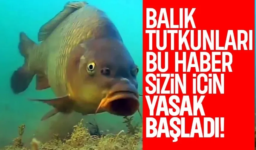 İç sularda balık avı için yeni gelişme