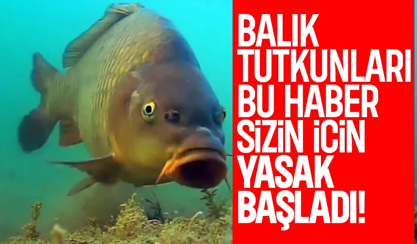 İç sularda balık avı için yeni gelişme