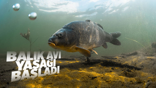 İç sularda balık avı yasağı başladı