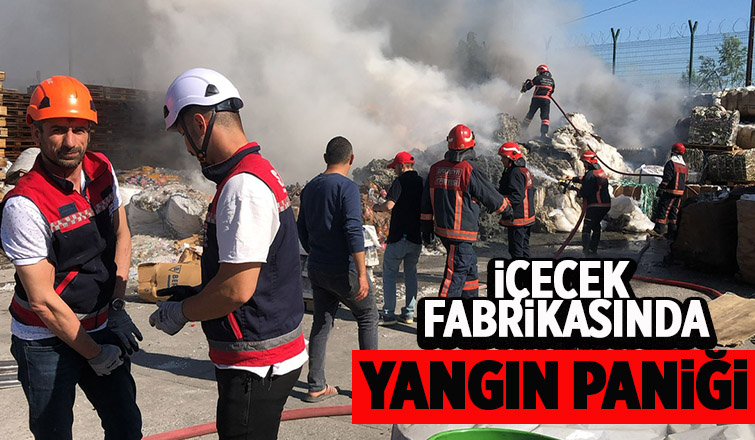 Akyazı'da fabrikada yangın