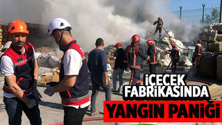 Akyazı'da fabrikada yangın