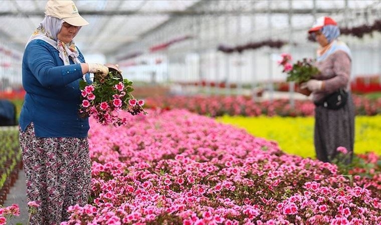 İçişleri'nden Sevgililer Günü genelgesi