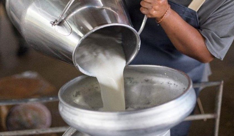İçme sütü ve peynir üretiminde düşüş