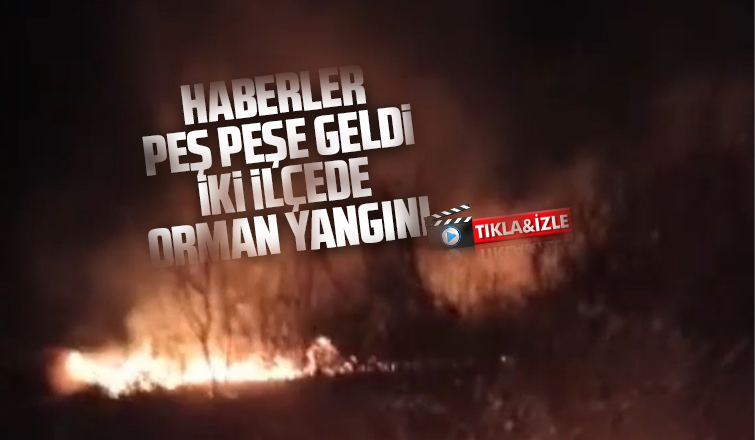 İki ilçede orman yangını