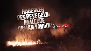 İki ilçede orman yangını