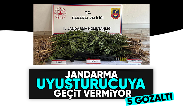 İki ilçede uyuşturucu operasyonu