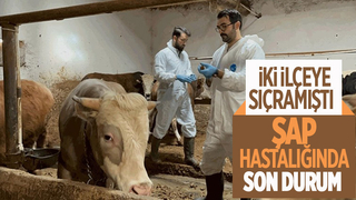 İki ilçedeki şap karantinası sürüyor