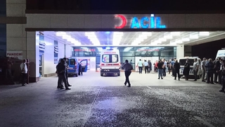 İki kardeşini silahla vurarak öldürdü