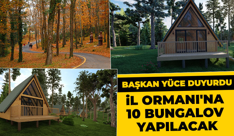 İl Ormanı'na 10 Bungalov Yapılacak
