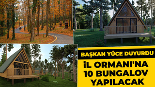 İl Ormanı'na 10 Bungalov Yapılacak