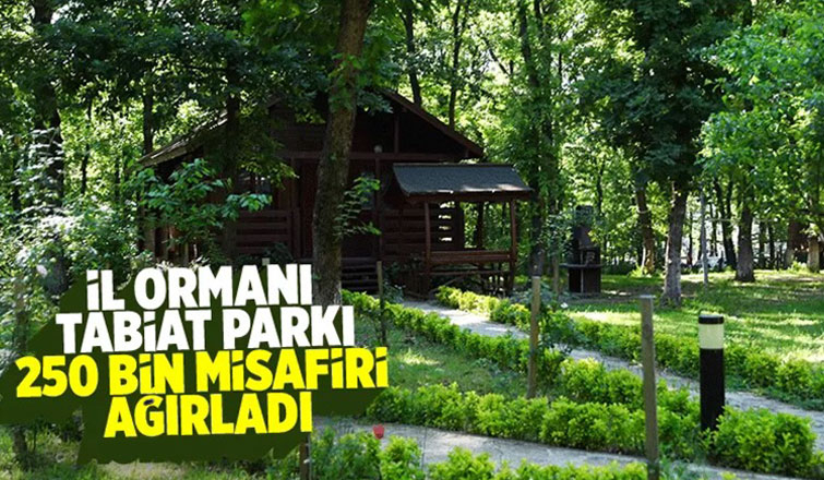 İl Ormanı Tabiat Parkı ziyaretçi akınına uğradı