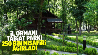 İl Ormanı Tabiat Parkı ziyaretçi akınına uğradı
