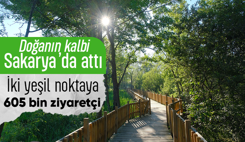 İl Ormanı ve Acarlar Longozu'na ziyaretçi akını