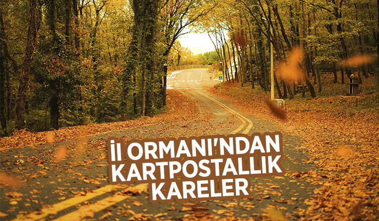 İl Ormanı’nda sonbahar bir başka